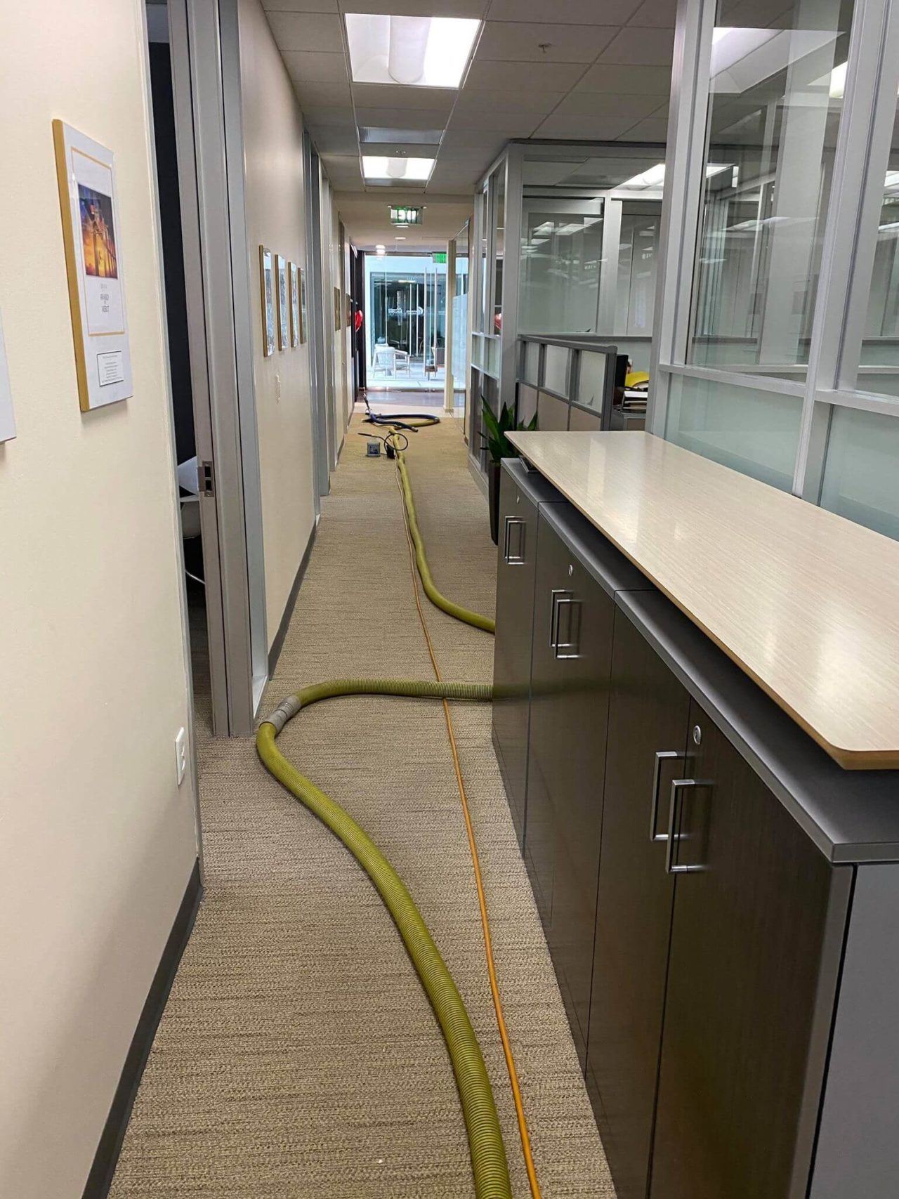 Commercial Cleaning San Diego CA AVS Carpet Cleaning