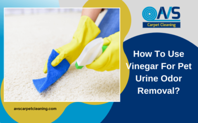 How To Use Vinegar For Pet Urine Odor Removal?