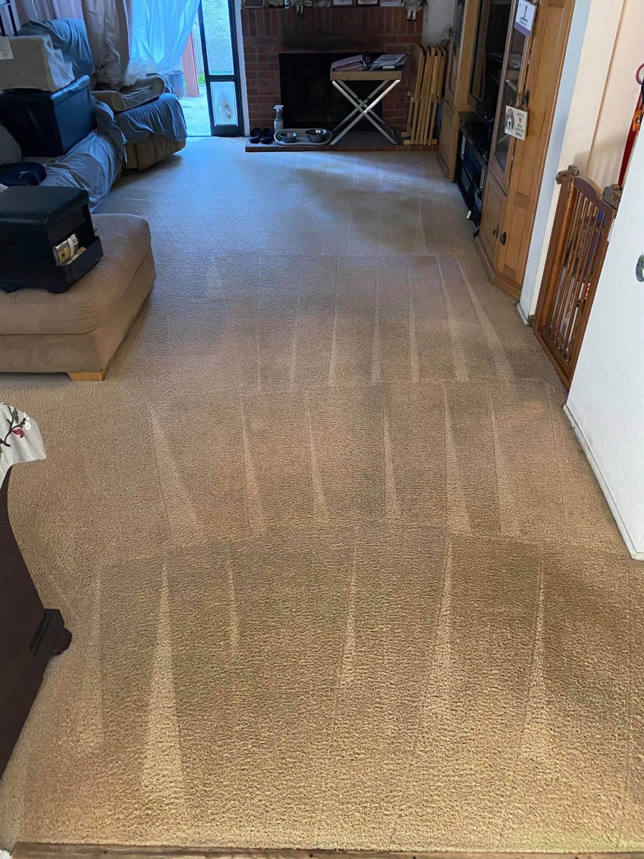 Residential Cleaning San Diego CA AVS Carpet Cleaning