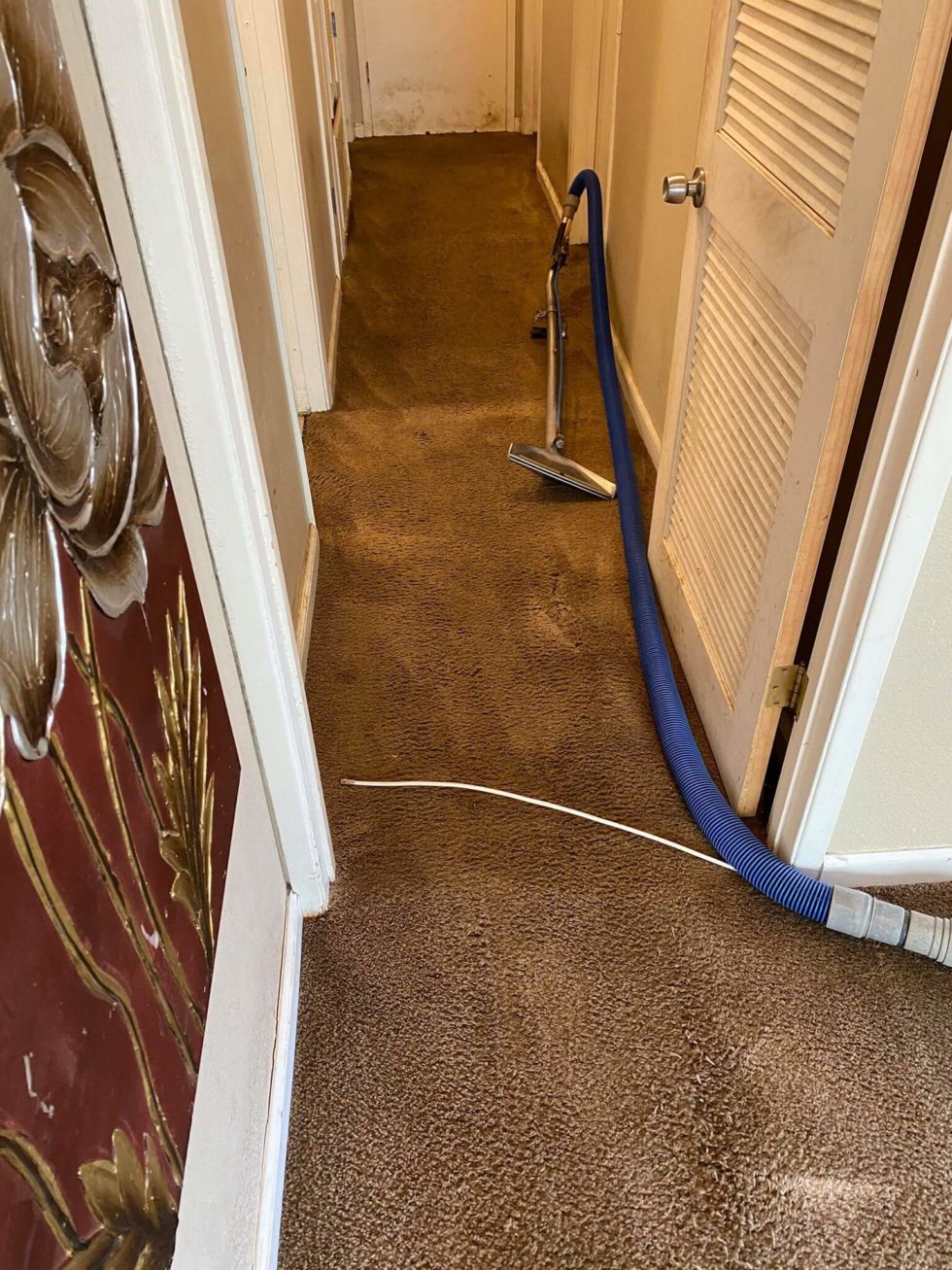 Residential Cleaning San Diego CA AVS Carpet Cleaning