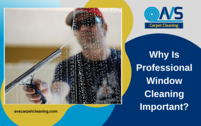 Why Is Professional Window Cleaning Important?
