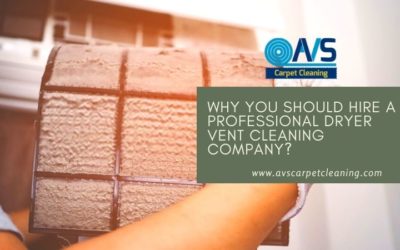 Why You Should Hire a Professional Dryer Vent Cleaning Company?