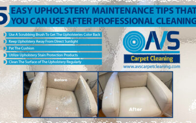 Easy Upholstery Maintenance Tips After A Professional Upholstery Cleaning