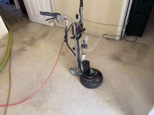 Best Carpet Cleaning Services Near Me