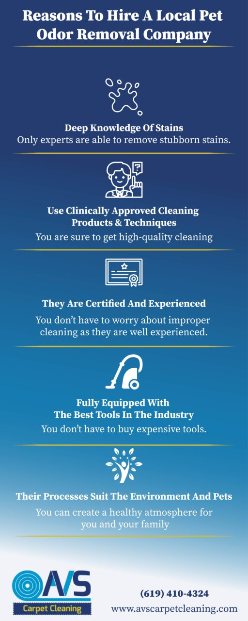 Why Hire A Local Pet Odor Removal Company? [Infographic]