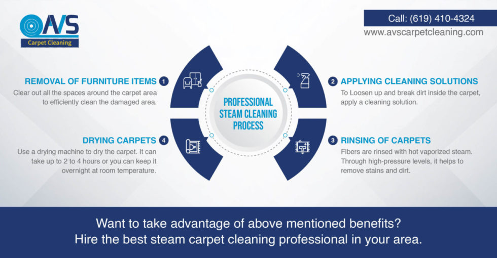 Professional Steam Cleaning Process & Its Benefits Infographic