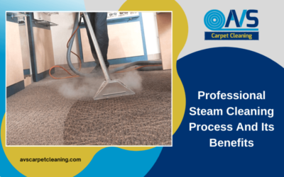 Professional Steam Cleaning Process And Its Benefits With Infographic