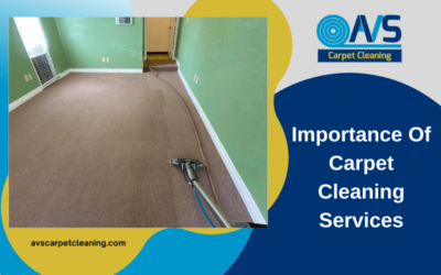 Importance Of Carpet Cleaning Services