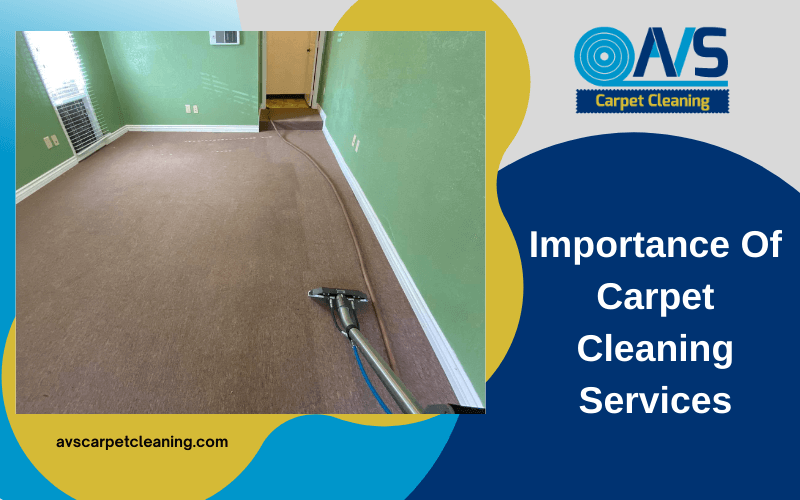 Importance of carpet cleaning services