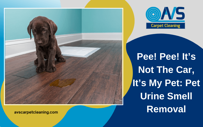 pet urine smell removal