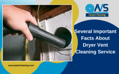 Several Important Facts About Dryer Vent Cleaning Service