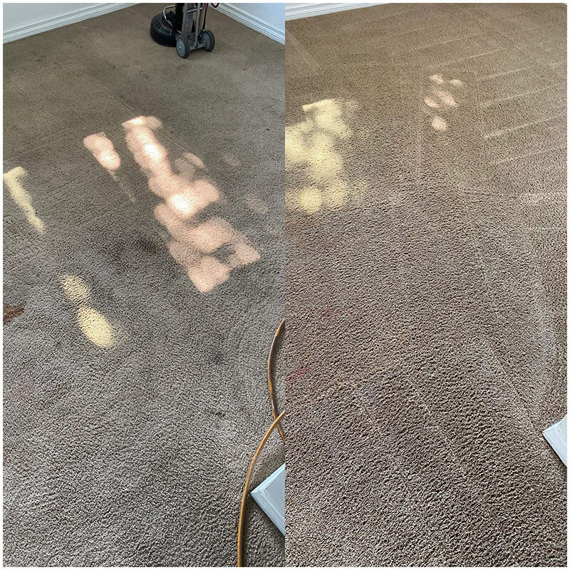 Before After Carpet Cleaning San Diego