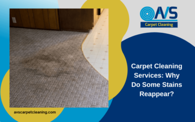 Carpet Cleaning Services: Why Do Some Stains Reappear?